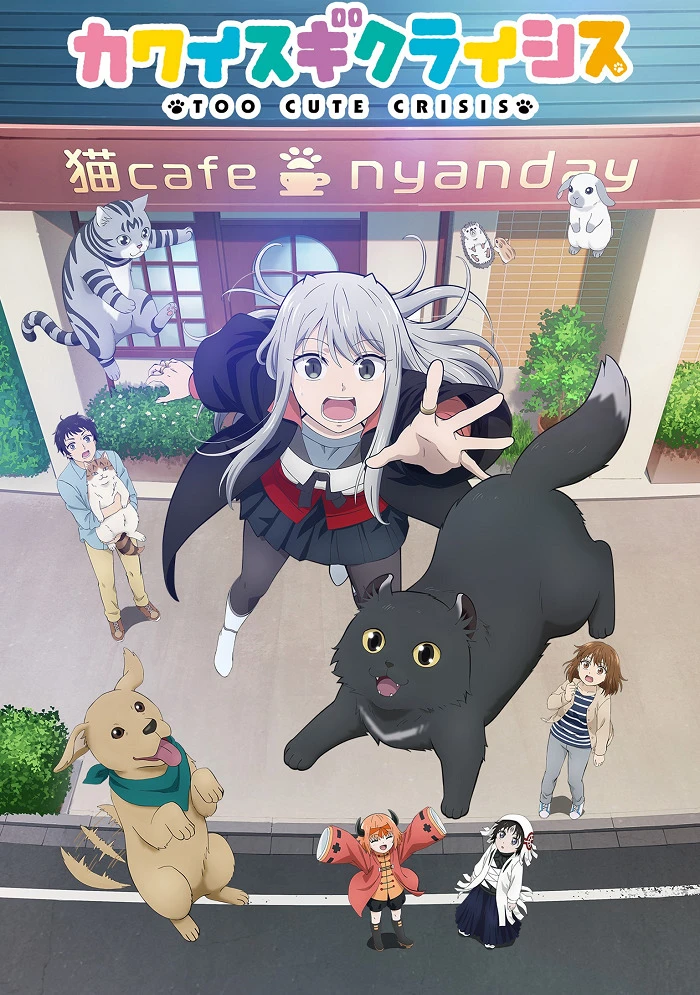 Слишком милый кризис постер